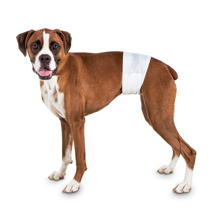 Male Dog Wraps