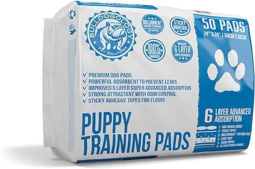 Pee Pads For Dogs Mean No More (Avoidable) Accidents